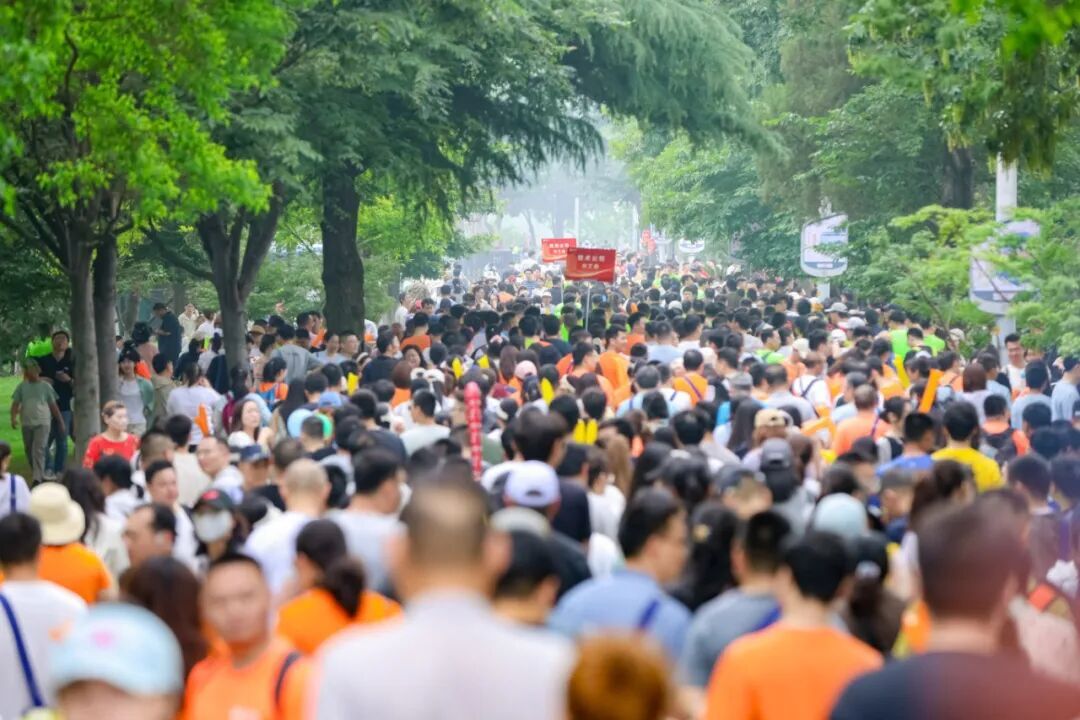 图18.jpg